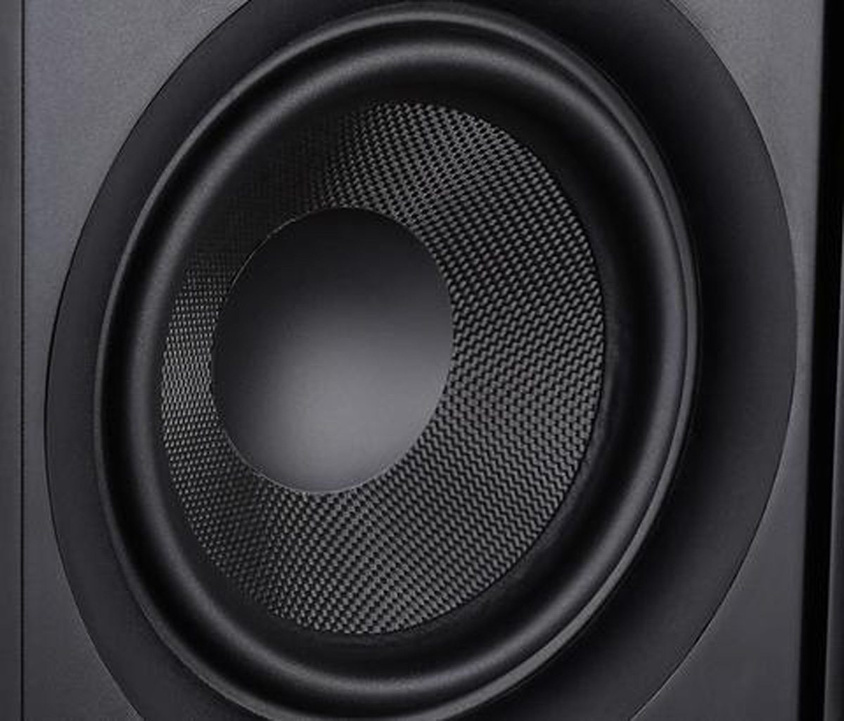 V2gt woofer closeup 821x701 large